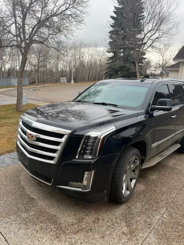 2016 Escalade Premium Luxury524852284747960322