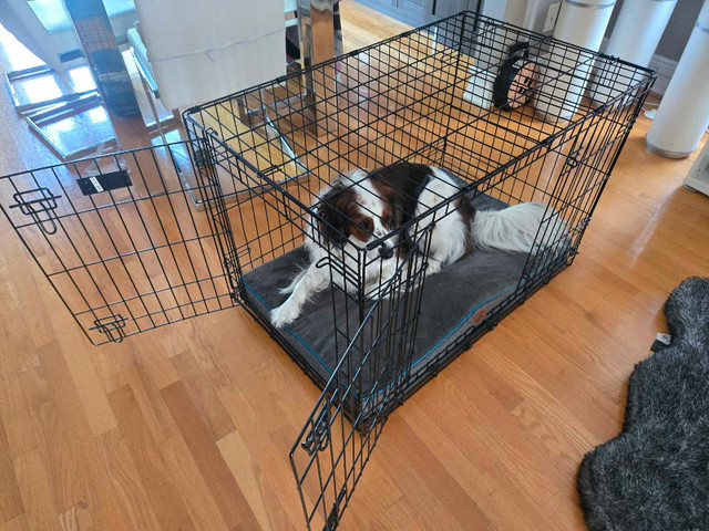 Cage à chien avec accessoirs dans Accessoires  à Laval/Rive Nord