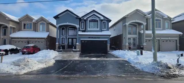 Local Canadian Leaf Cleanup/Snow Removal in Lawn, Tree Maintenance & Eavestrough in Hamilton - Image 4