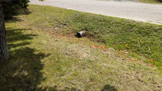 Ray's Lawn Mowing530755412684318725