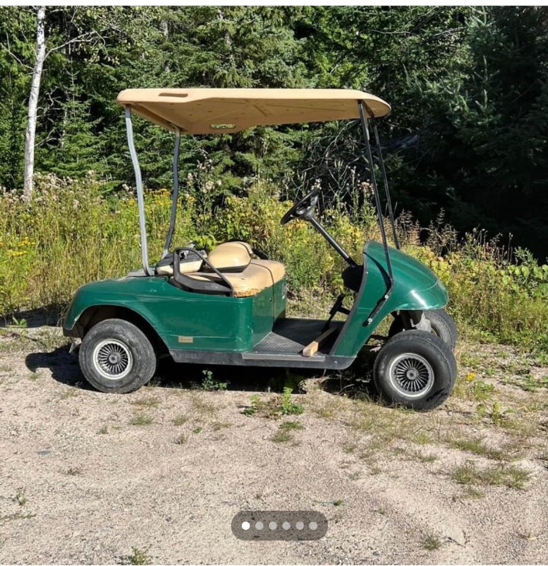 2 golf carts Other Thunder Bay Kijiji
