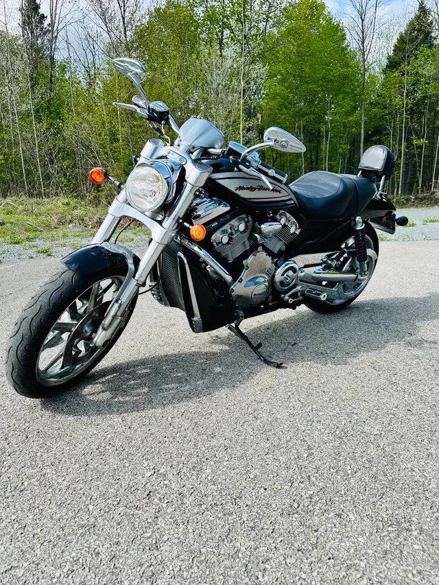 Harley Davidson V Rod Street  2006 in Sport Touring in Laurentides - Image 7