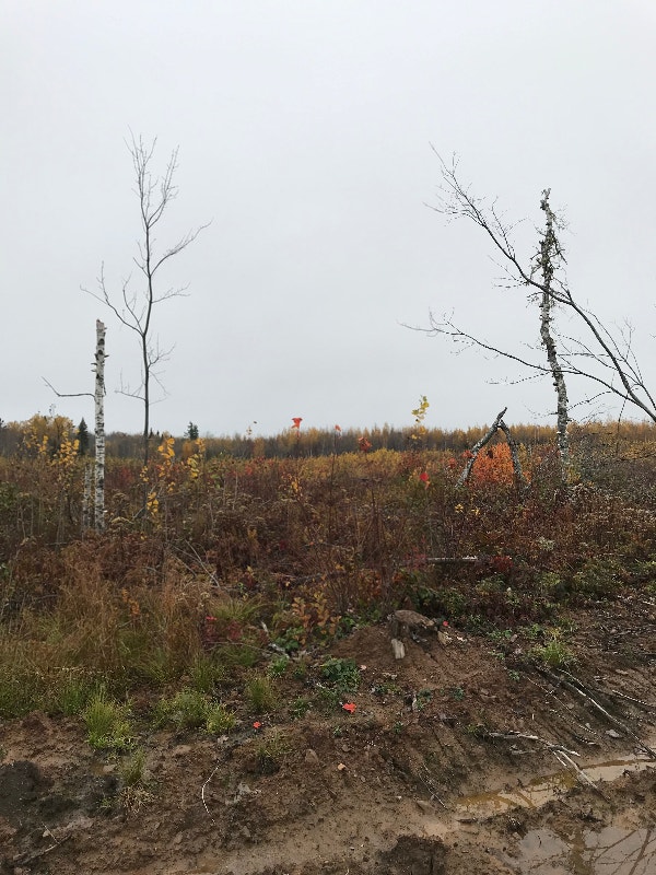 Raw Land Forsale Houses for Sale Moncton Kijiji