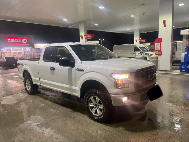 2015 Ford F150 XLT 4x4 in Cars & Trucks in Markham / York Region - Image 3