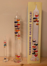 Galileo Thermometer (dual)