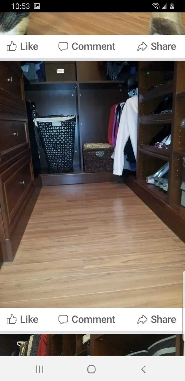 Professional Carpenter  / Handyman  Services 530755375376650248