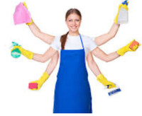 Femme de ménage professionnel 