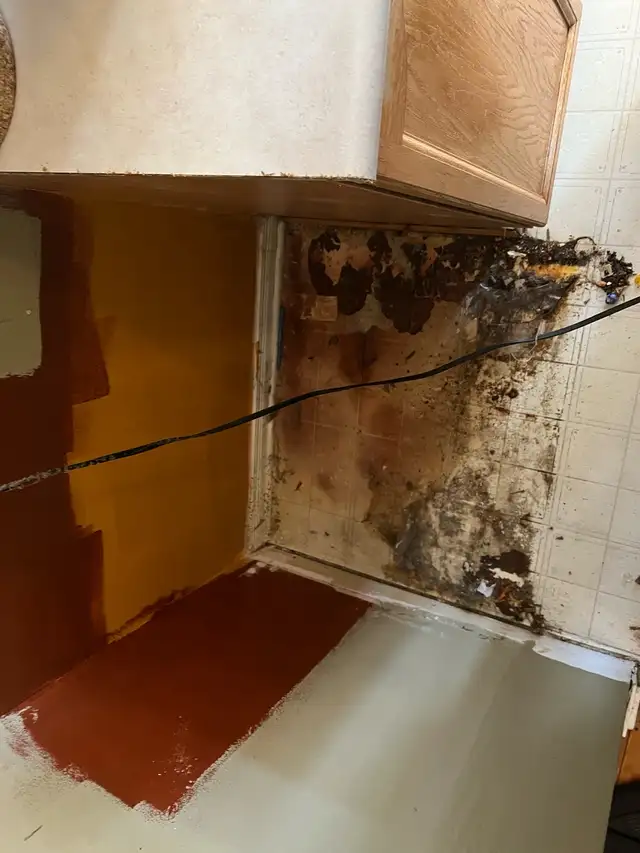 regular cleaning and Deep cleaning