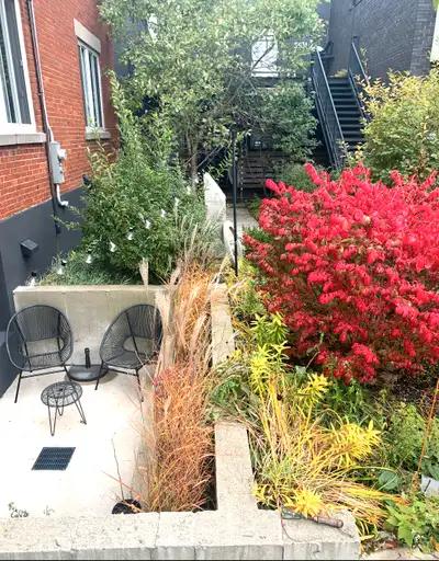 Sous-location tout inclus : Urban oasis Rosemont / Petite-patrie