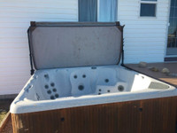  Beachcomber Hot Tub 738