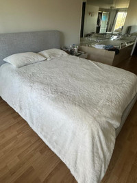 Structure bed brand new condition 
