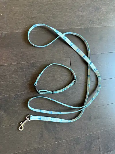 Laisse et collier pour chien, View more