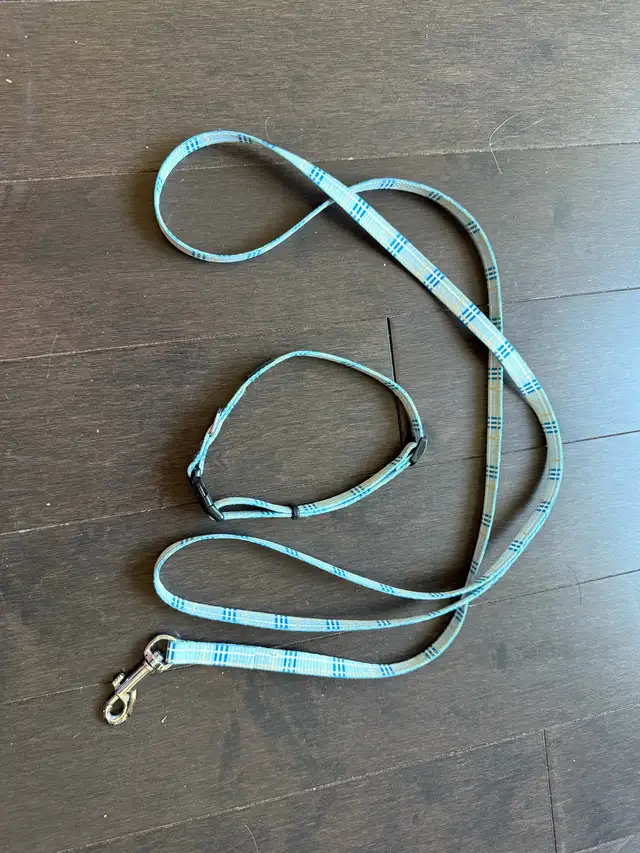 Laisse et collier pour chien in Accessories in Lanaudière - Image 2