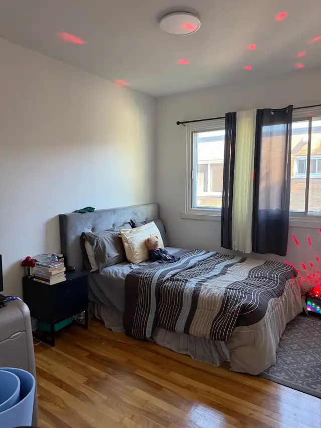 Renovated Upper Duplex 7 1/2