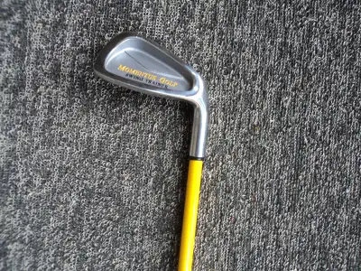 Never used... Ladies MOMENTUS weighted swing training club. Ladies 28 oz...RH