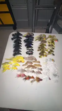 Streamers Fly Fishing 