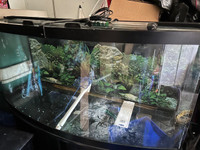 ** Price Reduced**Aquarium 72 gal vitre arrondi/bow front modèle