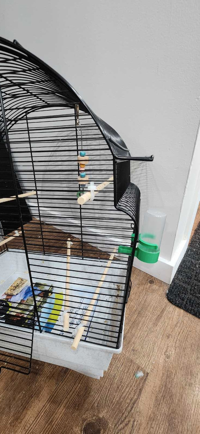 Medium size bird cage in Hobbies & Crafts in Winnipeg - Image 3