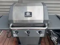 Gas BBQ with cover