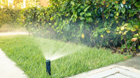 Sprinkler, Irrigation 