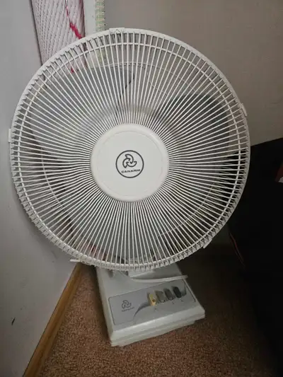 Canarm Fan, View more