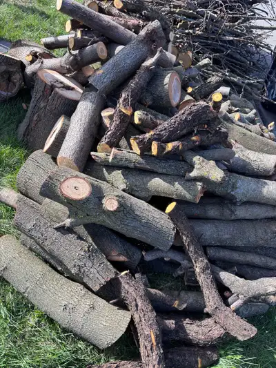 free firewood hardwood nicely cut! lots!, View more
