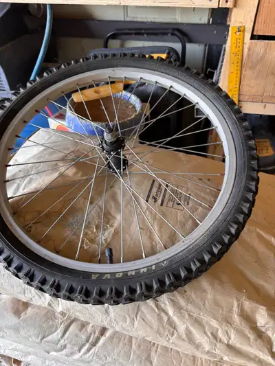 Free 19 inches bicycle tire if interested text me at 7804978314 pick up north side 174 ave and 115 s...