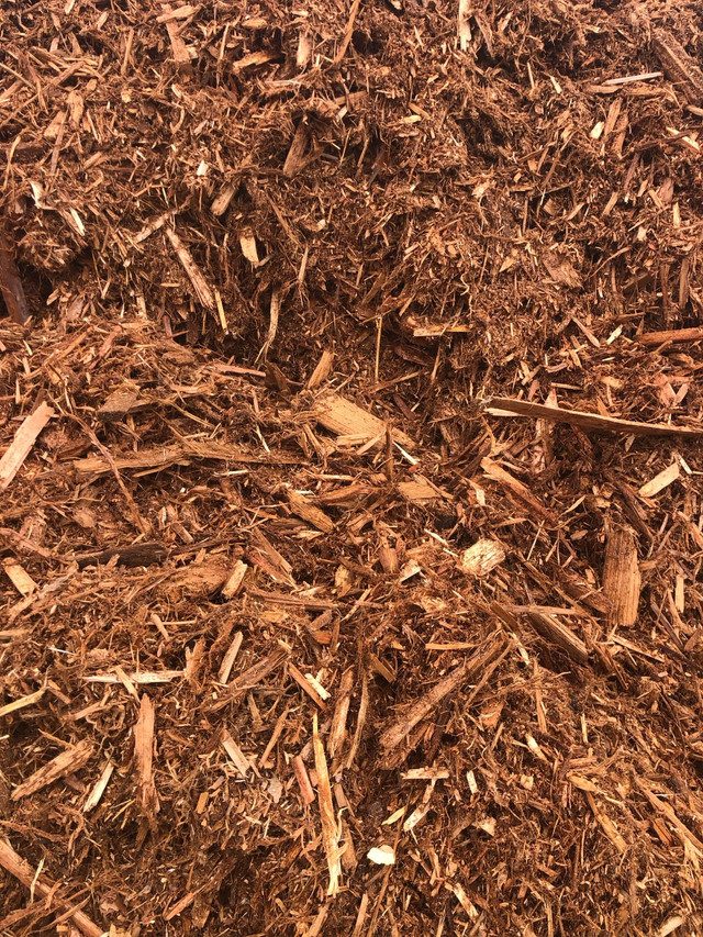 Premier Red Cedar Mulch - Landscaping in Plants, Fertilizer & Soil in Edmonton - Image 2