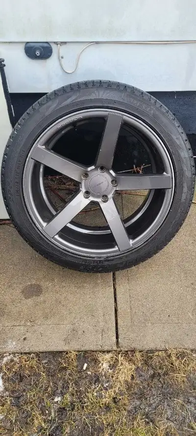 Description in pics of the front and back rims.
