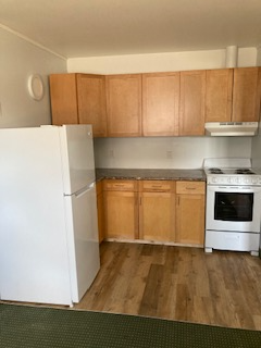 Apartment for rent in Carman Mb. Rent is $1135 and includes all utilities. Cable available for $25 /...