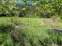 Wanted: 5-20 acres in Kaslo area