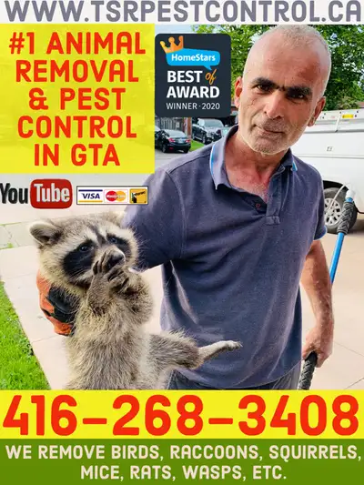 Licensed exterminators offering raccoon, squirrel, WASP HIVE, BEE NEST, BIRD, skunk, mice, and rat r...