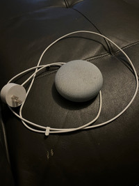 Google home mini