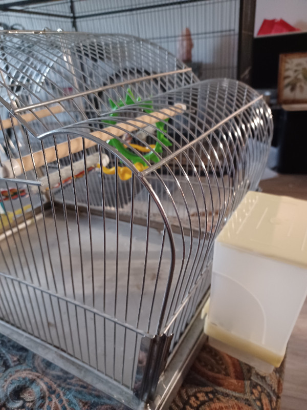 Vintage stainless steel bird cage with rubber liner in Birds for Rehoming in Abbotsford - Image 3