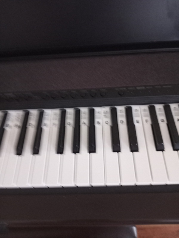 Piano Casio installé dans un meuble in Pianos & Keyboards in Bathurst - Image 3
