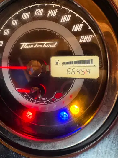 Bike prices going up .I'm lowering mine 2010 triumph Thunderbird 1600. 66,459K on bike. oil just cha...