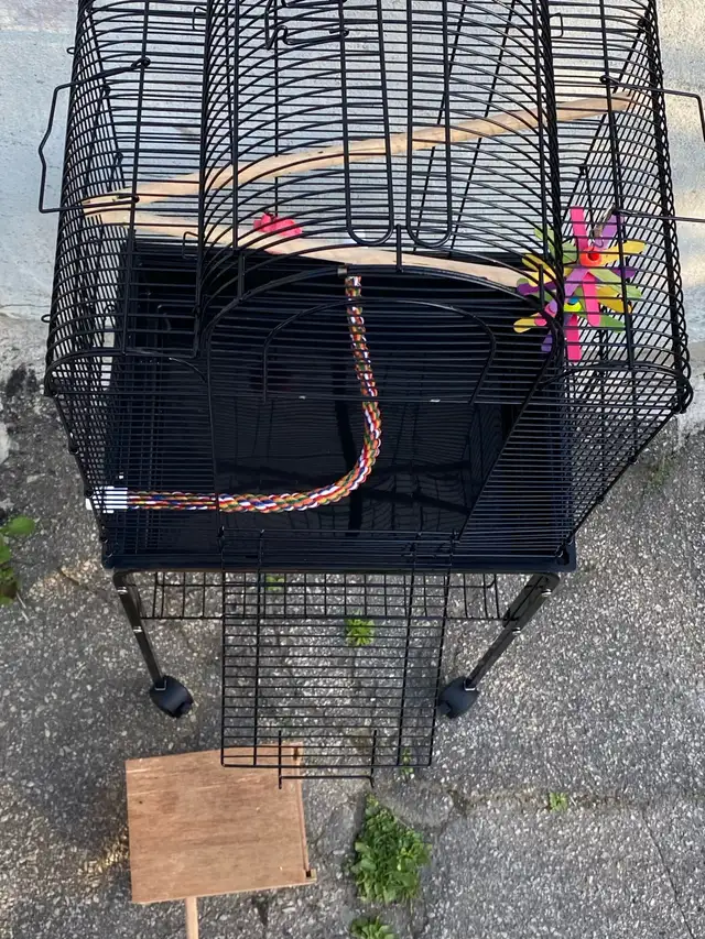new full cage in Birds for Rehoming in City of Toronto - Image 2