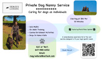 Private Dog Nanny in M1W Postal Code $45/90mins