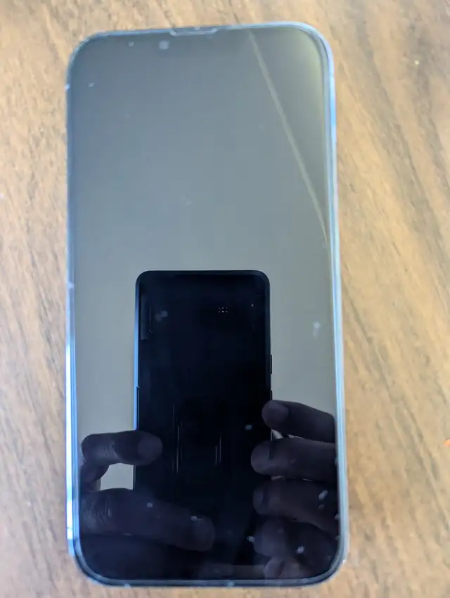 iPhone 13 Pro Max - 256gb storage - 100% battery life in Cell Phones in Hamilton - Image 4