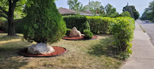 Local Canadian Leaf Cleanup/Snow Removal in Lawn, Tree Maintenance & Eavestrough in Hamilton - Image 7