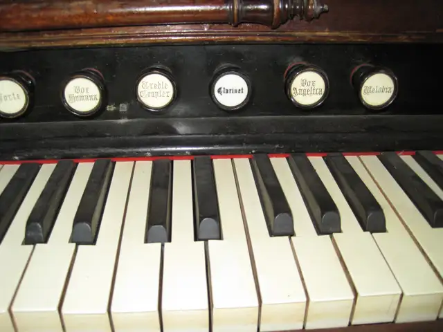 Old Organ in Pianos & Keyboards in Calgary - Image 6