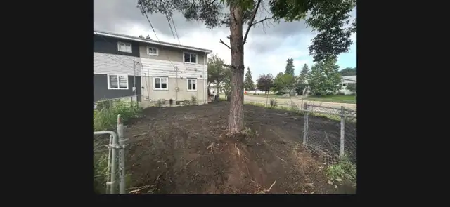 grass gone 497670668839168002