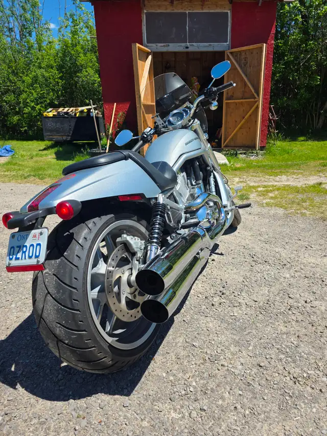 10th Anniversary Harley Davidson Vrod in Street, Cruisers & Choppers in St. Catharines - Image 3