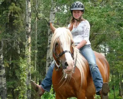 Summer Horse Camps, View more