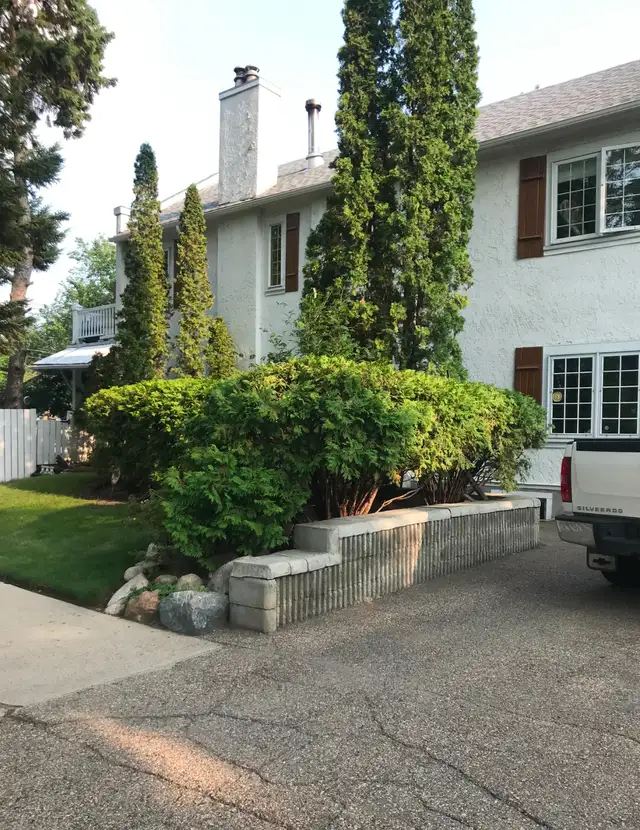1 Bedroom Basement - Newly Reno'd