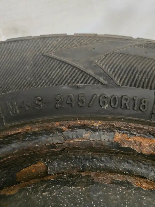 Winter Tires in Tires & Rims in Bridgewater - Image 3