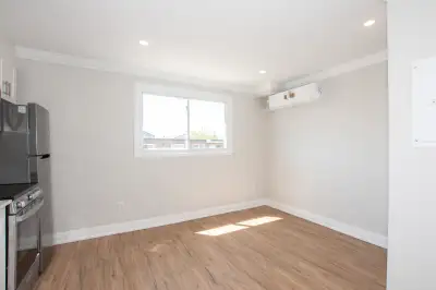 Bachelor for rent