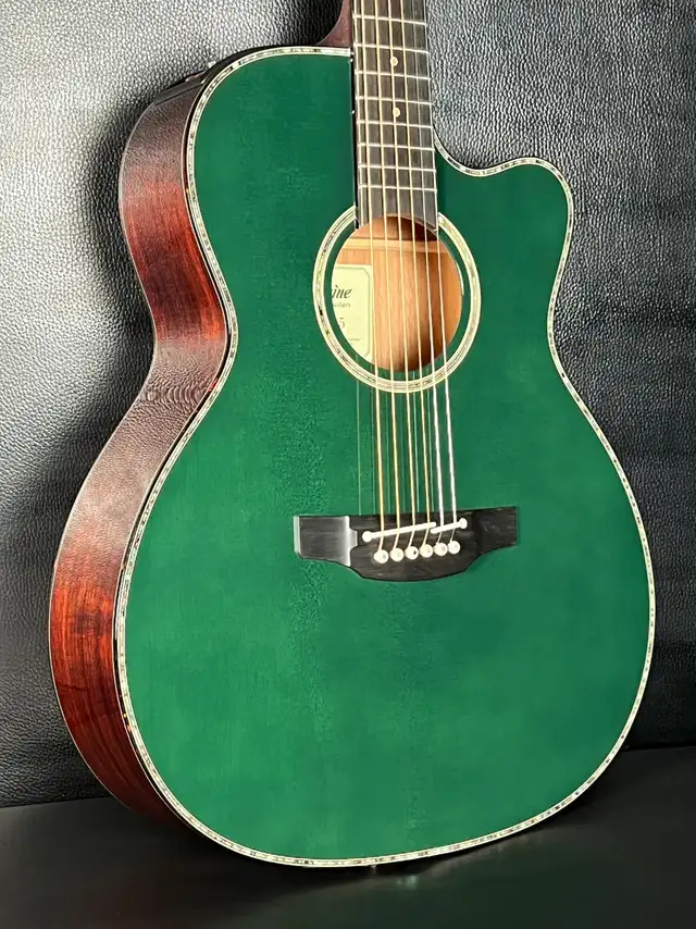  Takamine LTD2025 Limited Edition Antique Evergreen in Guitars in Mississauga / Peel Region - Image 2