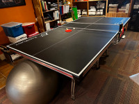 Eastlake Ping Pong / Table Tennis Table