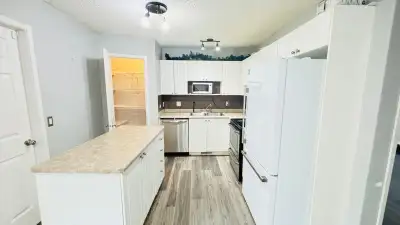 3 Bedroom House on Rent available from June 01 or June 15,2025